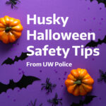 Husky Halloween Safety Tips with two pumpkins, three bats, and two spiders.